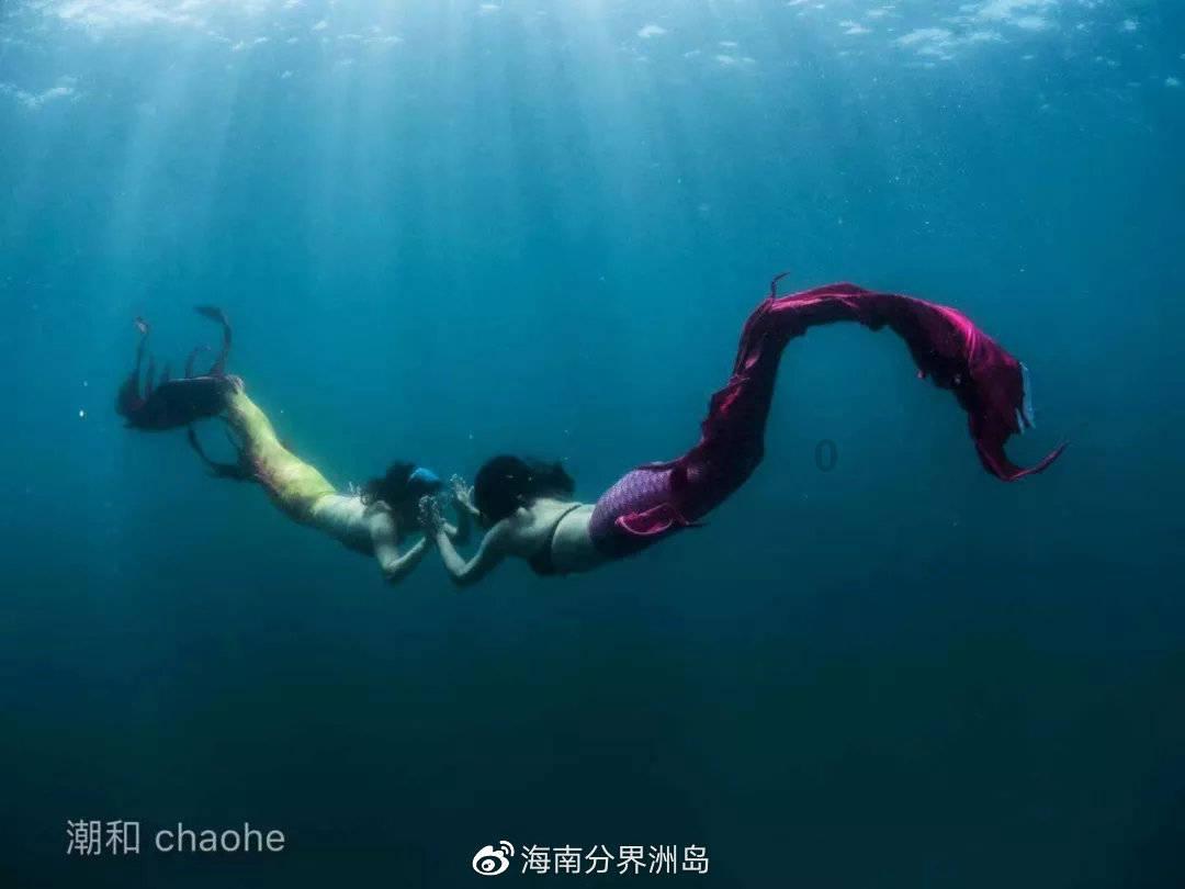 冰城羽绒服租赁火出圈! “小金豆”纷纷点赞:温暖贴心还划算!