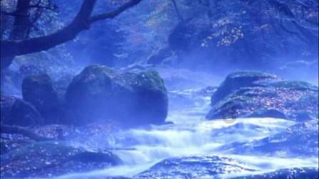 刚上市就“一夜成名”！全新哈弗H9：外挂式储物盒